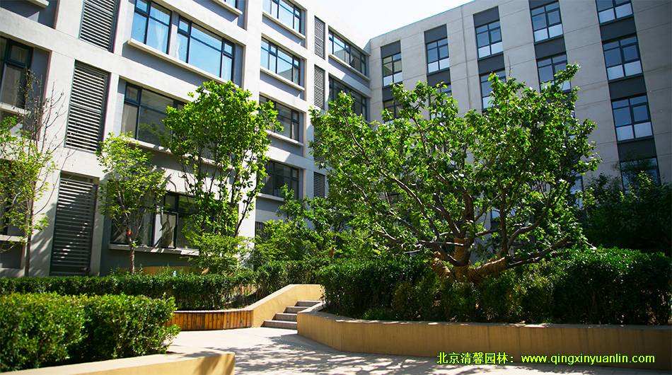 中糧萬(wàn)科 長(zhǎng)陽(yáng)項(xiàng)目 小學(xué)園林